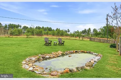 772 Pinewoods Road, Quicksburg, VA 22847 - Photo 53