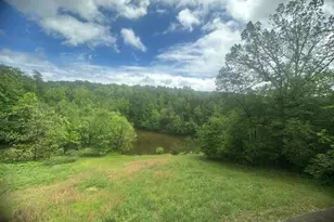 431 Holly Ridge Rd, Mount Jackson, VA 22842 - Photo 17