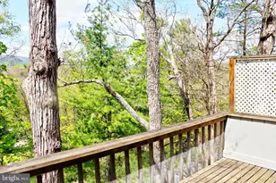 361 The Hill, Basye, VA 22810 - Photo 19