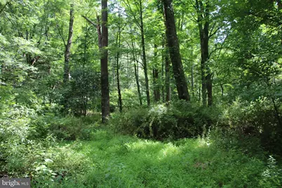 2332 Alum Springs Road, Basye, VA 22810 - Photo 47