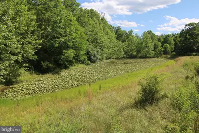 2332 Alum Springs Road, Basye, VA 22810 - Photo 43