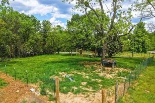 2032 Conicville Rd, Mount Jackson, VA 22842 - Photo 47