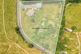 2032 Conicville Rd, Mount Jackson, VA 22842 - Photo 41