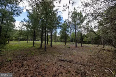Boliver Road, Fort Valley, VA 22652 - Photo 19