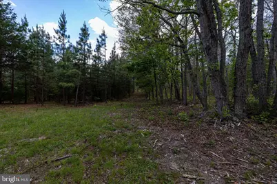 Boliver Road, Fort Valley, VA 22652 - Photo 25