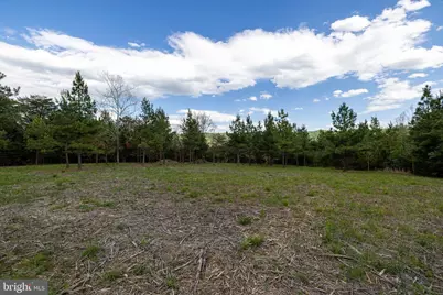 Boliver Road, Fort Valley, VA 22652 - Photo 3