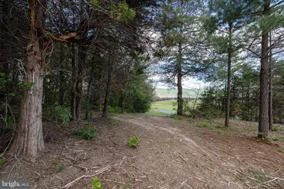 Boliver Road, Fort Valley, VA 22652 - Photo 13