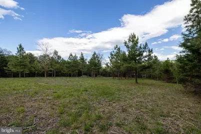 Boliver Road, Fort Valley, VA 22652 - Photo 21