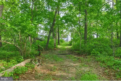 475 Fairview Circle, Woodstock, VA 22664 - Photo 71