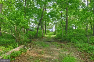 475 Fairview Cir, Woodstock, VA 22664 - Photo 71