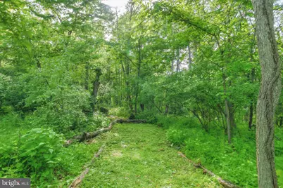 475 Fairview Circle, Woodstock, VA 22664 - Photo 69