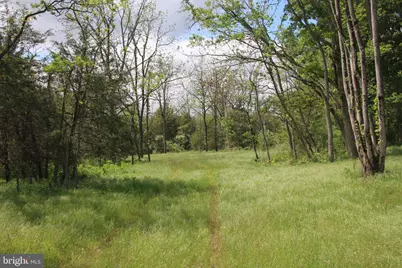 Ridge Hollow Road, Edinburg, VA 22824 - Photo 5