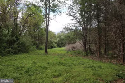 Ridge Hollow Road, Edinburg, VA 22824 - Photo 13