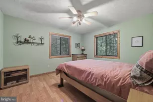 309 Locust Ln, Mount Jackson, VA 22842 - Photo 37
