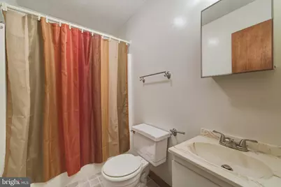 309 Locust Lane, Mount Jackson, VA 22842 - Photo 41