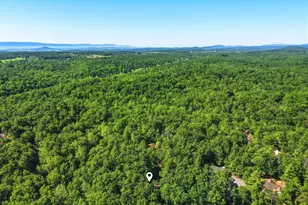 309 Locust Ln, Mount Jackson, VA 22842 - Photo 55