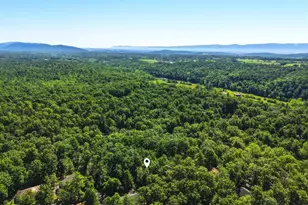 309 Locust Ln, Mount Jackson, VA 22842 - Photo 57