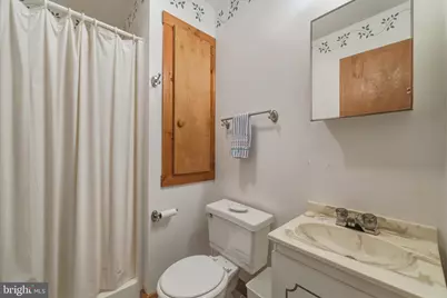 309 Locust Lane, Mount Jackson, VA 22842 - Photo 45