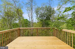 176 N Place Ln, Strasburg, VA 22657 - Photo 21