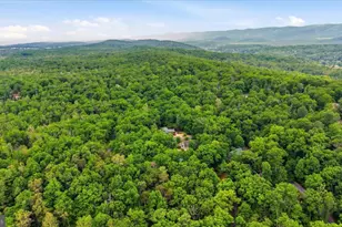 417 Ironwood Rd, Mount Jackson, VA 22842 - Photo 41