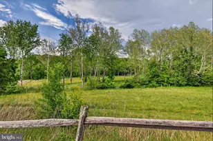 795 Hideaway Farms Rd, Edinburg, VA 22824 - Photo 53