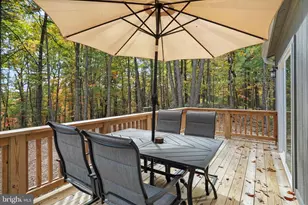 598 Crabapple Rd, Mount Jackson, VA 22842 - Photo 31