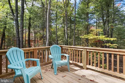 598 Crab Apple Road, Mount Jackson, VA 22842 - Photo 29