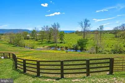 137-A Brady Lane, Mount Jackson, VA 22842 - Photo 3