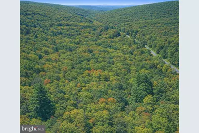Lot 168 Forest Ridge Trail, Fort Valley, VA 22652 - Photo 3