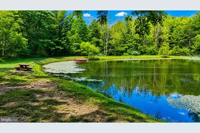Lot 168 Forest Ridge Trail, Fort Valley, VA 22652 - Photo 9