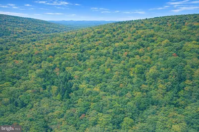 Lot 170 Forest Ridge Trail, Fort Valley, VA 22652 - Photo 5
