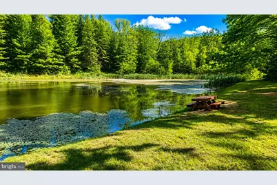 Lot 170 Forest Ridge Trail, Fort Valley, VA 22652 - Photo 7
