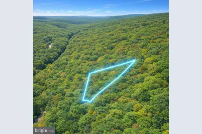 Lot 170 Forest Ridge Trail, Fort Valley, VA 22652 - Photo 1