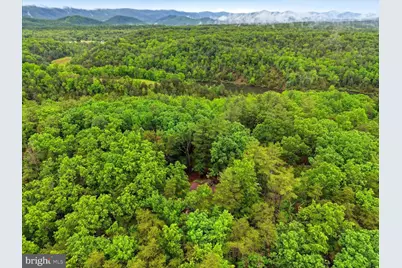 323 Palmer Road, Basye, VA 22810 - Photo 43
