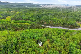 323 Palmer Rd, Basye, VA 22810 - Photo 47