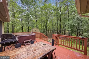 323 Palmer Rd, Basye, VA 22810 - Photo 35