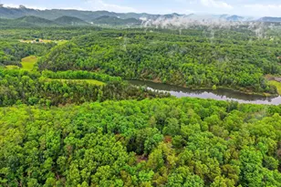 323 Palmer Rd, Basye, VA 22810 - Photo 45