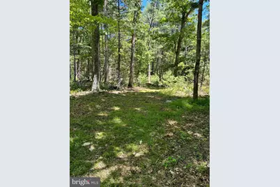 Sugar Hill Road Tbd, Maurertown, VA 22644 - Photo 25