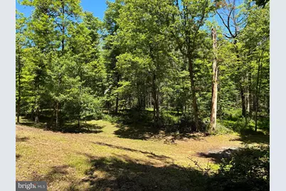 Sugar Hill Road Tbd, Maurertown, VA 22644 - Photo 21