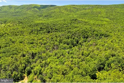 Sugar Hill Road Tbd, Maurertown, VA 22644 - Photo 37