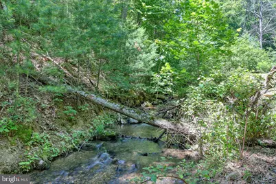 Sugar Hill Road Tbd, Maurertown, VA 22644 - Photo 31