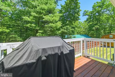 671 Willow Lane, Mount Jackson, VA 22842 - Photo 47