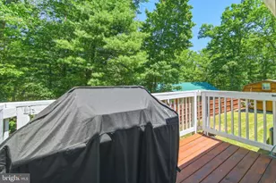 671 Willow Ln, Mount Jackson, VA 22842 - Photo 47