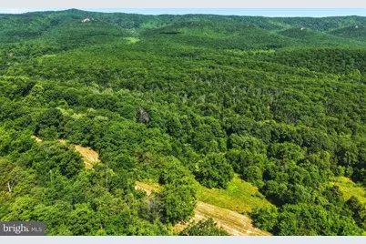1639 Sugar Hill Road, Maurertown, VA 22644 - Photo 7