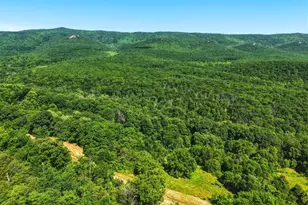 1639 Sugar Hill Rd, Maurertown, VA 22644 - Photo 7