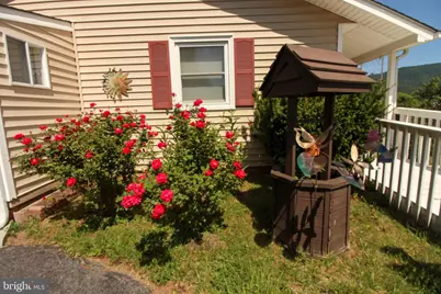 4250 Palmyra Church Road, Edinburg, VA 22824 - Photo 21