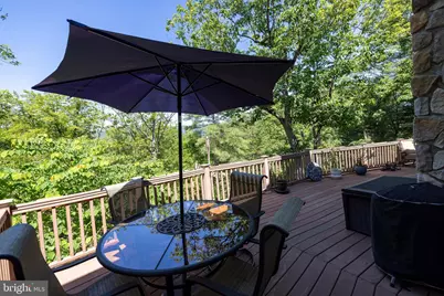 167 Williams Lane, Basye, VA 22810 - Photo 35