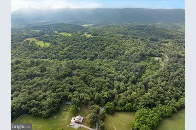 1488 Millner Road, Strasburg, VA 22657 - Photo 41