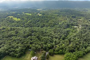 1488 Millner Rd, Strasburg, VA 22657 - Photo 41