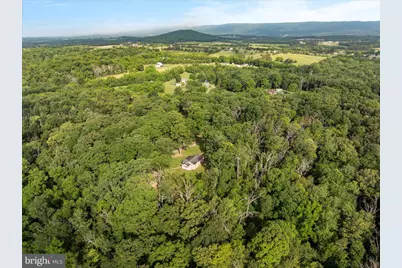 1488 Millner Road, Strasburg, VA 22657 - Photo 39